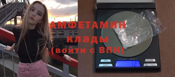 индика Заволжск