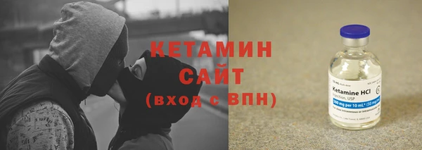 сатива Заводоуковск