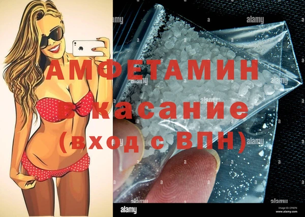 сатива Заводоуковск