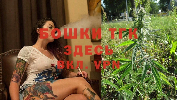 индика Заволжск