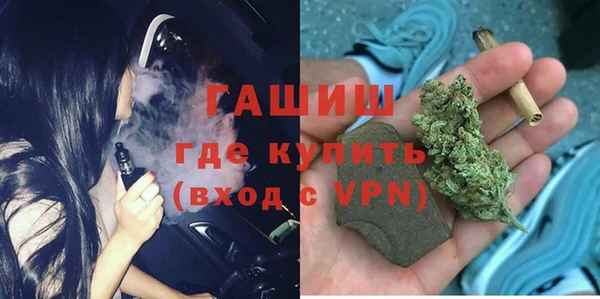 сатива Заводоуковск
