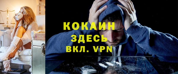 сатива Заводоуковск