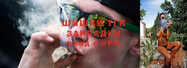сатива Заводоуковск