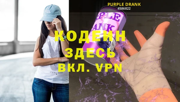 индика Заволжск