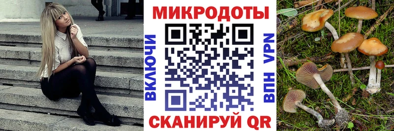 купить закладку  Снежинск  Псилоцибиновые грибы MAGIC MUSHROOMS 