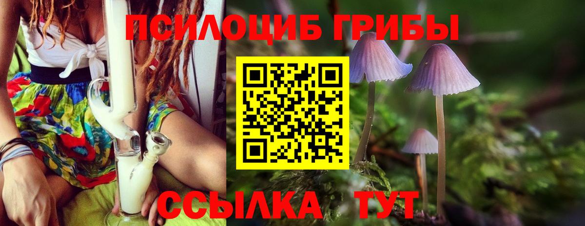 Псилоцибиновые грибы Psilocybine cubensis Снежинск